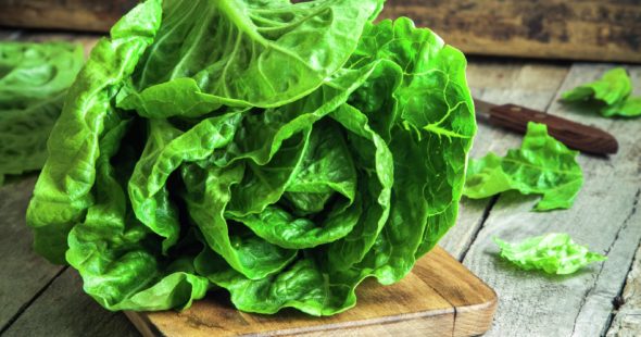 Ripe organic green salad Romano on a cutting board